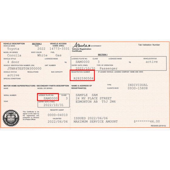 Renew Passenger Vehicle Registration