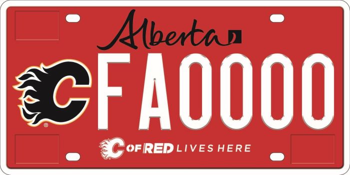 Calgary Flames Licence Plate