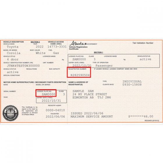 Renew Car Rental Vehicle Registration